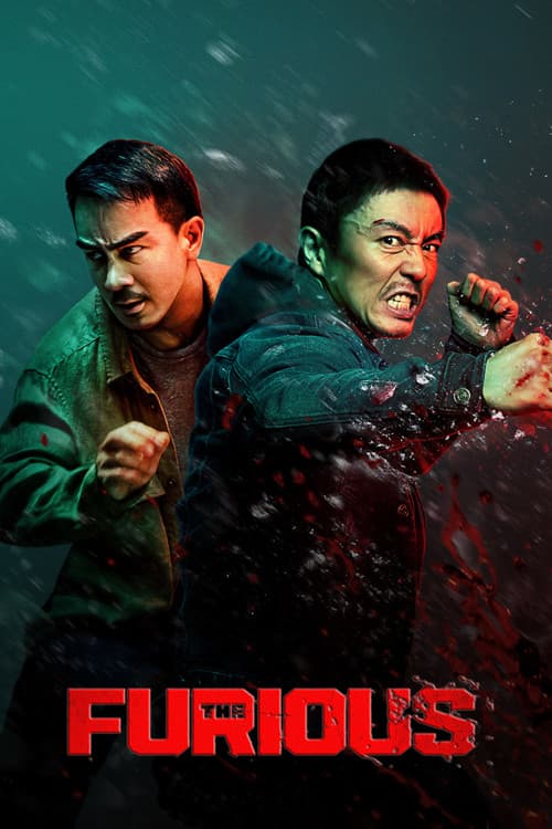 The Furious movie poster